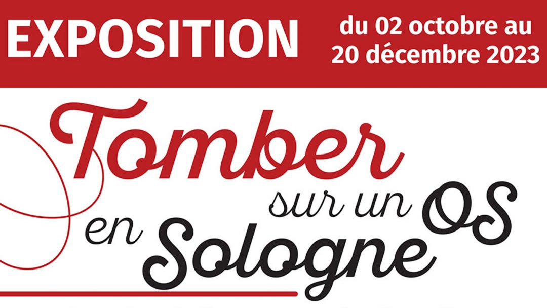 Trésors archéologiques