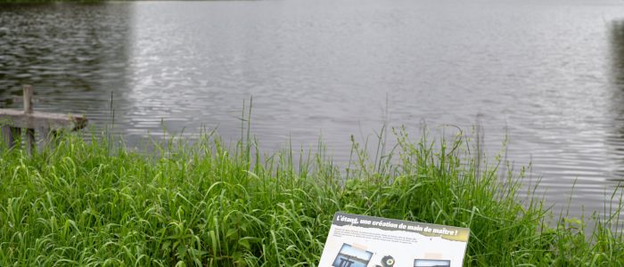 LCI122-St-Viatre-Etangs-370-©Cyril-Ananiguian