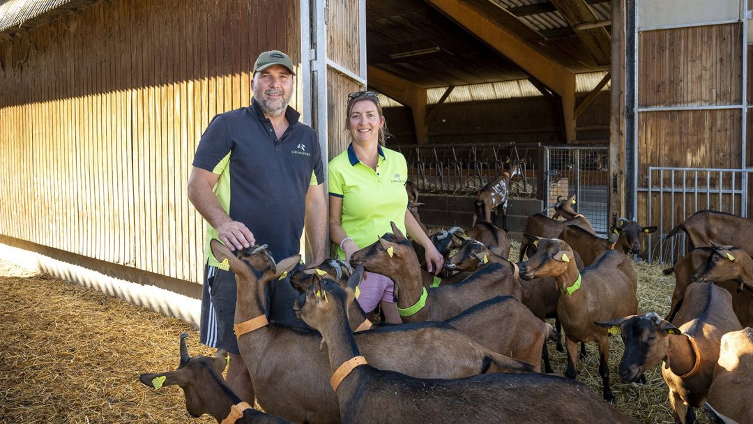 Ferme familiale